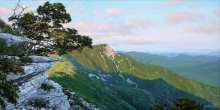 The Papai Mount - oil, canvas