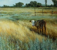White-headed - oil, wood panel, gesso