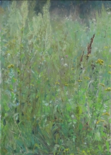 Grass - oil, cardboard